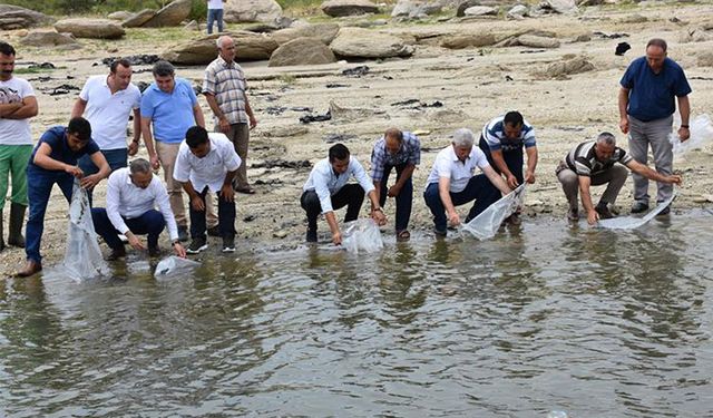 Manisa’da 100 bin balık göletlere bırakıldı