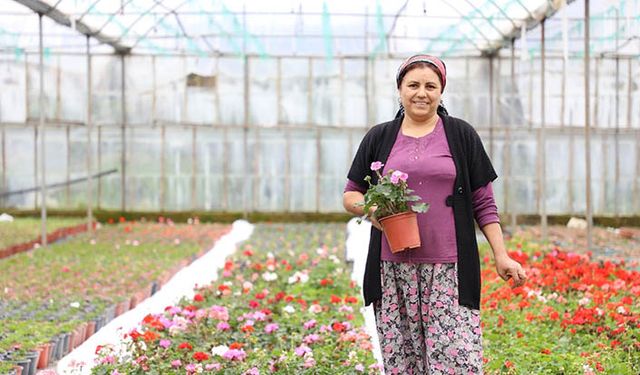 Muğlalı süs bitkisi üreticilerinin yüzü gülüyor