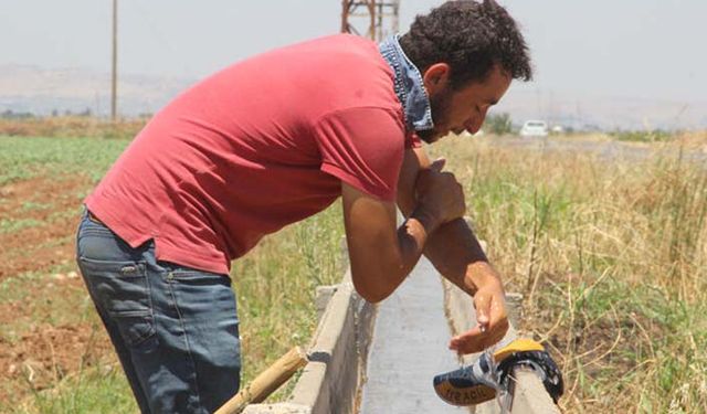 Tarım işçilerinin yevmiyesi çay parası etmiyor!