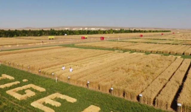 Bakan kar etti dedi TİGEM 7.5 milyon lira zarar açıkladı!