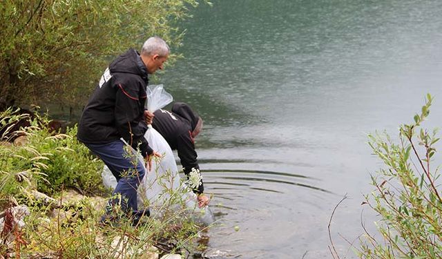 Yalova’da 35 bin sazan yavrusu göletlere bırakıldı