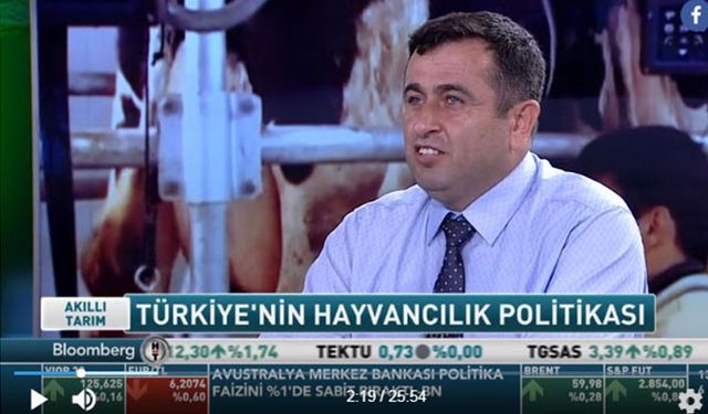 Anaç hayvanlar kesiliyor Türkiye hayvan varlığında büyük bir kriz yaşayabilir!