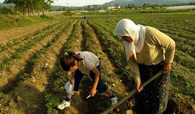 Çiftçinin gözü Tarım Kredi’de! Tarımsal kredilerde faiz oranı ne kadar düşecek?