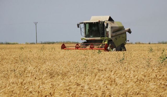 Doğan: TMO buğdayda istenilen fiyatı vermedi!
