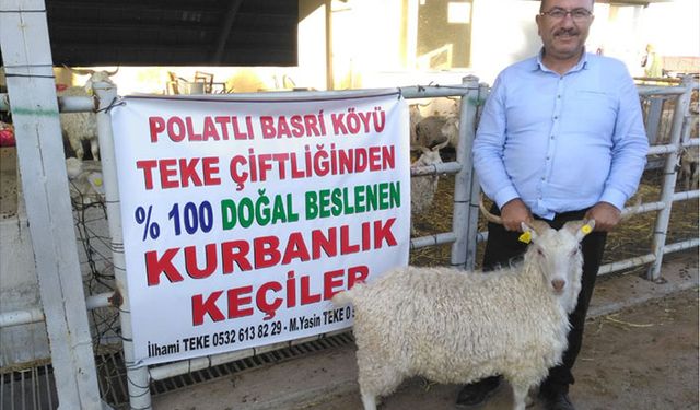 Emeklilerin bayram ikramiyesine Ankara tiftik keçisi!