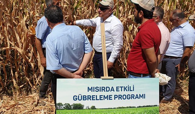 Gübretaş mısır tarlasında hedef yükseltti!