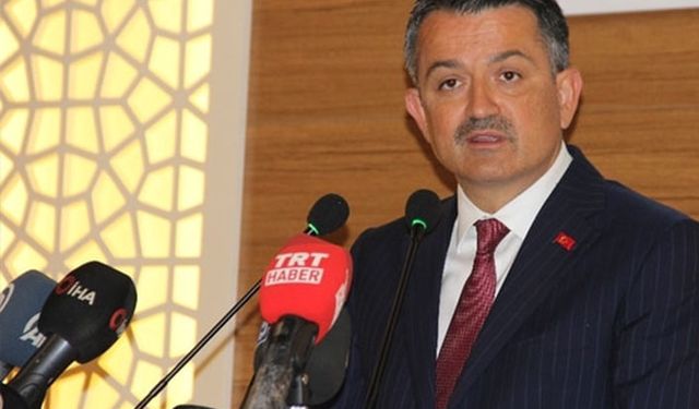 Hayvancılık destekleriyle ithalat arasındaki büyük uçurum!