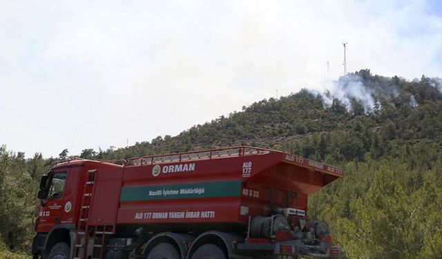 Tarım ve Orman Bakanlığı’ndan orman talimatı!