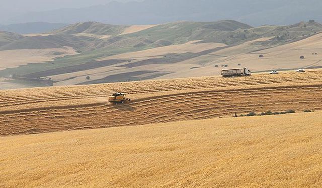 Tarımsal desteklerde büyük şok! Kararname mi kayboldu?