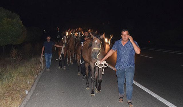 TİGEM’de milyonluk atlar böyle mi korunuyor?