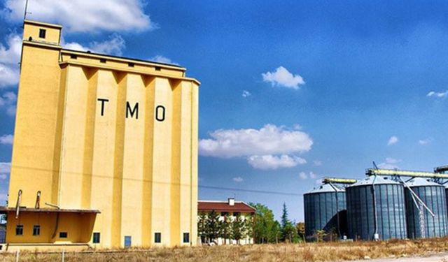 TMO: Fiyat dalgalanırsa piyasaya gireriz