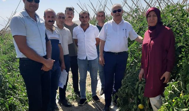 Van Tarım İl Müdürlüğü: Tarla Günü tertipledi
