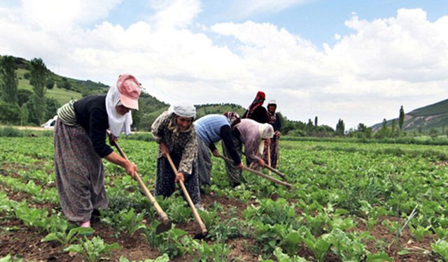 Çiftçi borçlarının silinmesi gerekiyor!
