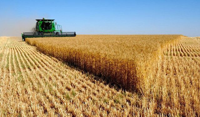 Çiftçi tarımdan ümidini kesti