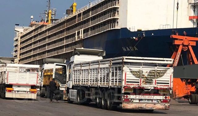 Gizemli hayvan ithalatı!