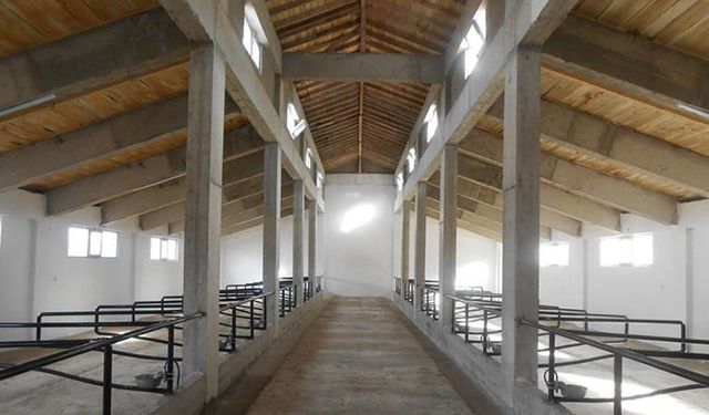 Ordu’da 108 tane ahır yapılacak