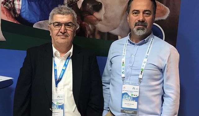 Sağılan süt miktarı ve besin değerini yem belirliyor