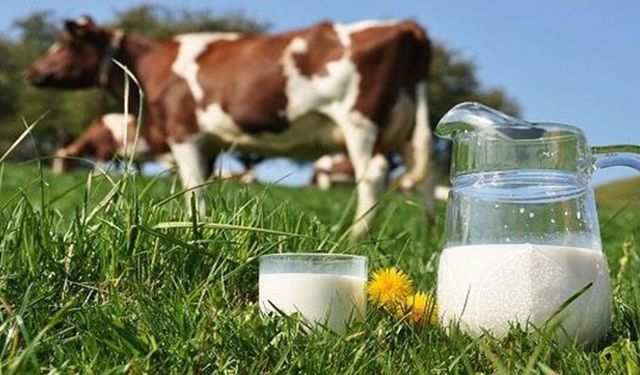 Son dakika: Ulusal Süt Konseyi Çarşamba günü toplanıyor