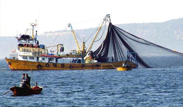 Tarım Bakanlığı açıkladı! 1.5 milyon balığın ölümü engellendi