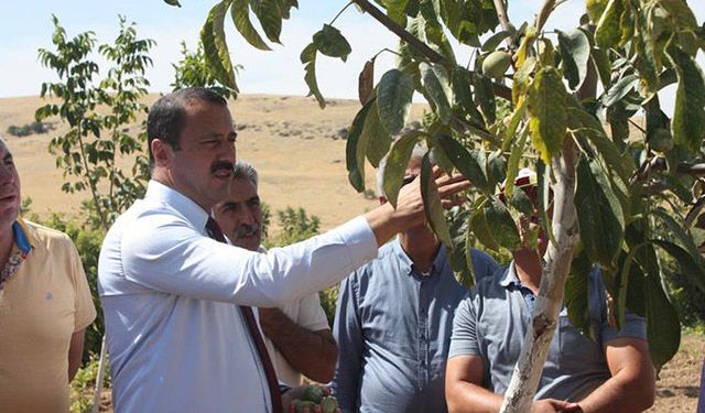Tarım İl Müdürü: Projelerden yaralanan üreticileri ziyaret etti