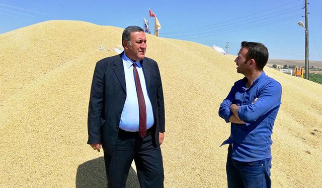 Türkiye neden arpa ithal ediyor?