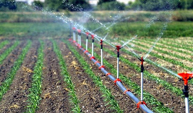 Bakan Pakdemirli açıkladı: İzmirli çiftçi 415 milyon lira ek gelir elde etti