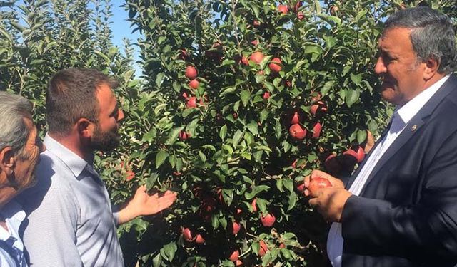 CHP Milletvekilinden elma eleştirisi: Dalında kilosu 1 lira Mecliste tanesi 2 lira!