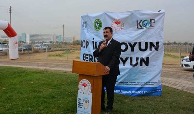 Konya'da küçükbaş hayvancılıkta önemli proje: KOP ile koyun gerisi oyun
