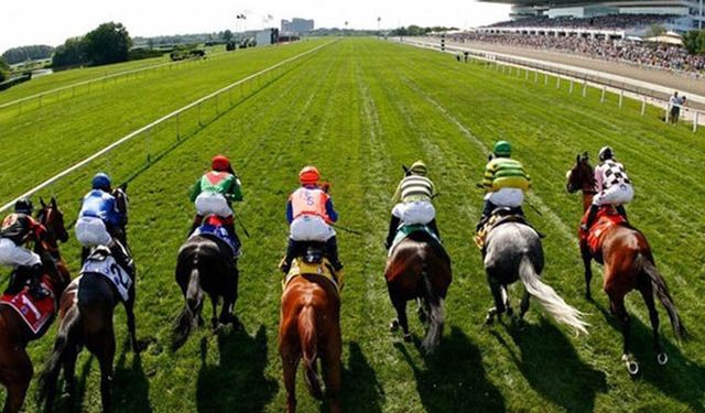 Tarımdan Haber gündeme getirdi Tarım Bakanlığı yönetmeliği değiştirdi!