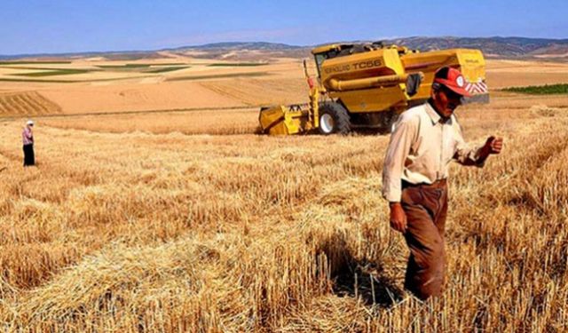 Tarımsal desteklerde kararname yayınlanmadan bütçesi açıklandı!