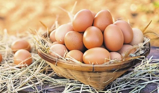 Yumurta anne sütünden sonra en zengin protein kaynağı