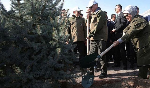 11 milyon fidan seferberliğinde çifte rekor