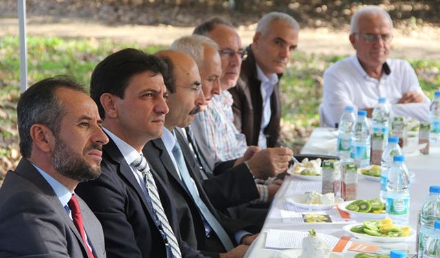 Bal arısı kivi bahçelerinde verimi artırıyor