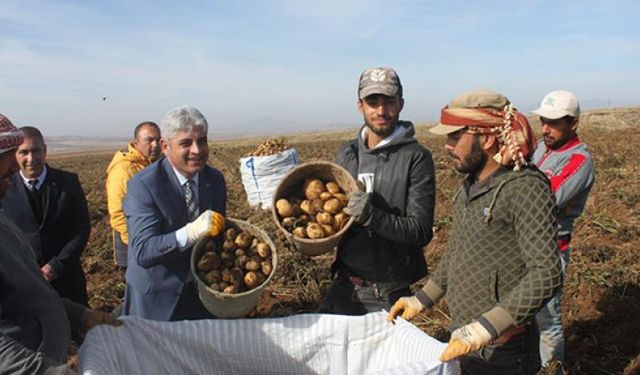 Bitlis patates ihtiyacının yüzde 5’ini karşılıyor