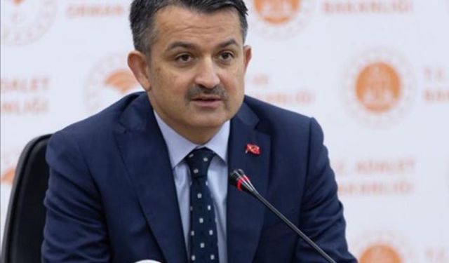 Bundan böyle 11 Kasım Milli Ağaçlandırma Günü olarak kutlanacak