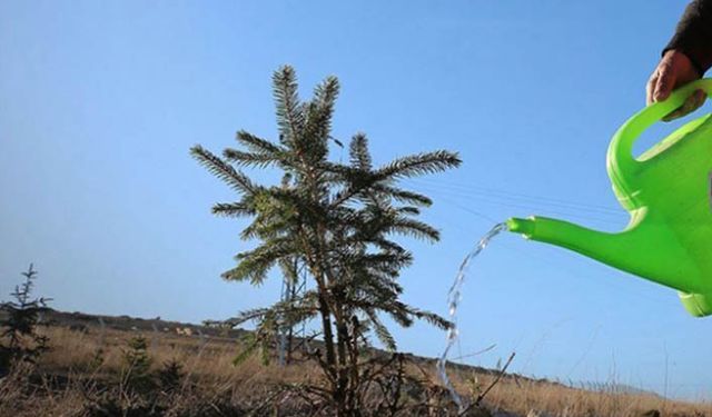 Çiftçimizin yüzü gülsün çocuklarımız ormanla büyüsün