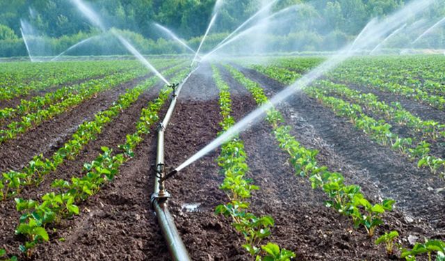 DSİ: Çanakkale’de 265 bin dekar arazi sulandı