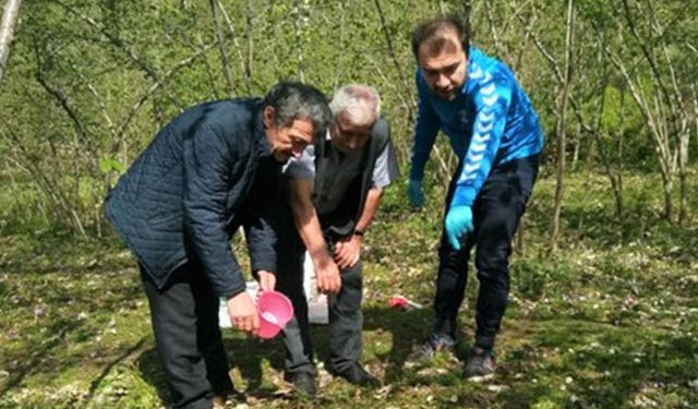 Giresun'da 3 bin 700 tarımsal işletmeye danışmanlık hizmeti