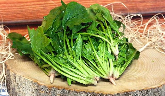 Ispanak zehirlenmesiyle ilgili önemli açıklama