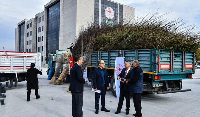 Süneye karşı 150 bin fidan dağıtılacak