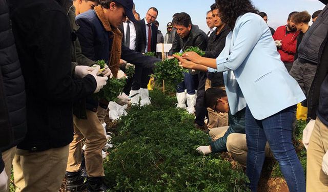 Kim demiş tarım bitiyor gençler toprakla buluşuyor