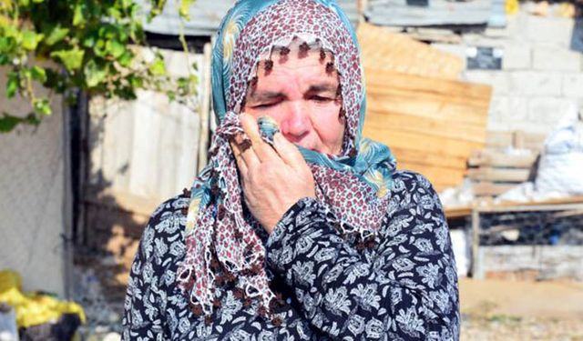 Koyunları çalınan Ayşe teyzenin duası kabul oldu