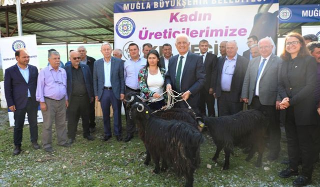 Muğlalı kadınlara kıl keçisi desteği