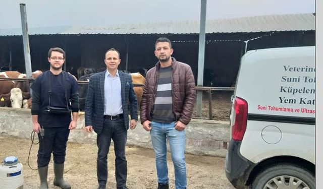 Suni tohumlamada yetiştiriciye ilave 50 lira devlet desteği