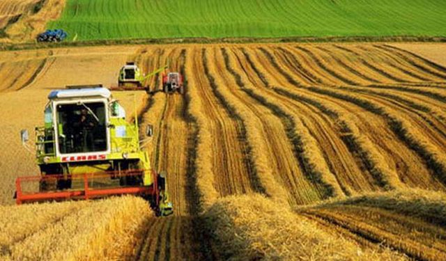 Tarım Bakanlığı: Marka ve tanıtım ajansı kuracak