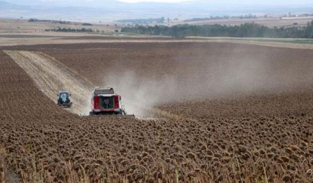 Tarımda büyük tehlike: Çiftçi borcu borçla çeviriyor çeviremeyen toprağını kaybediyor!