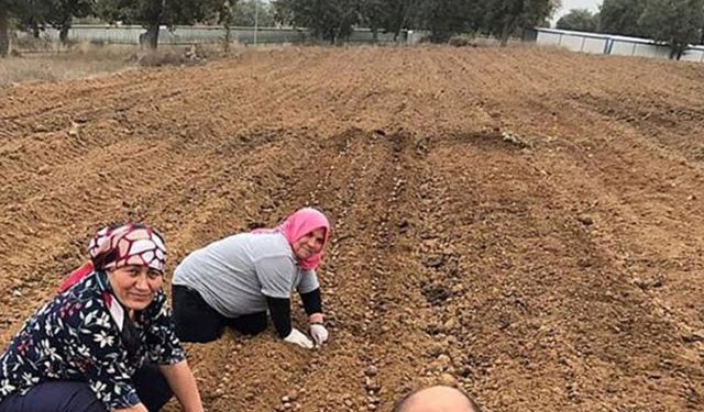 Tarımsal desteklerde hibe oranı arttı