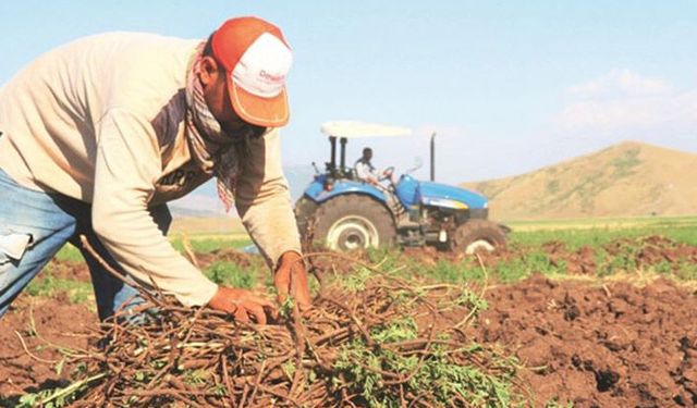Türkiye’de çiftçi başına destek miktarı 8 bin TL