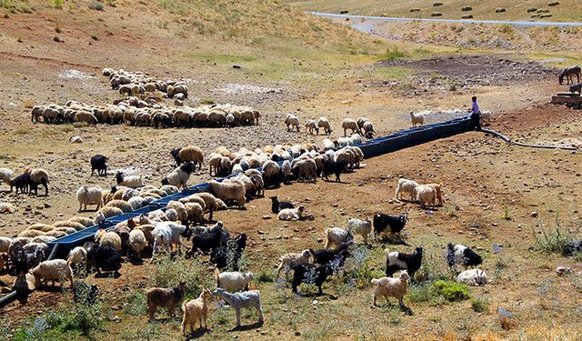 Van’da 8 milyon değerinde 24 tarım projesi!