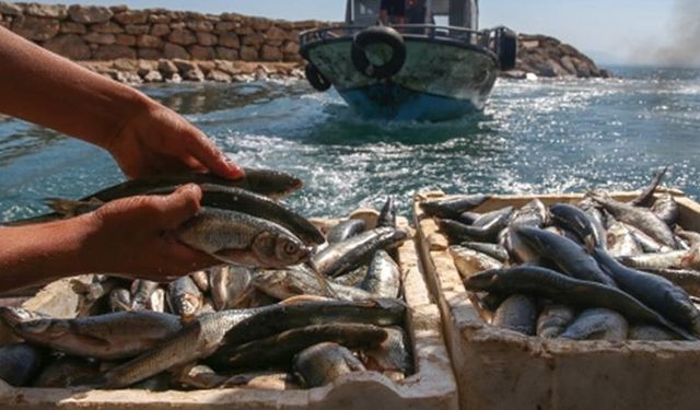 Vanlı balıkçılara destek